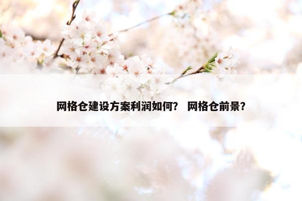 网格仓建设方案利润如何？ 网格仓前景？
