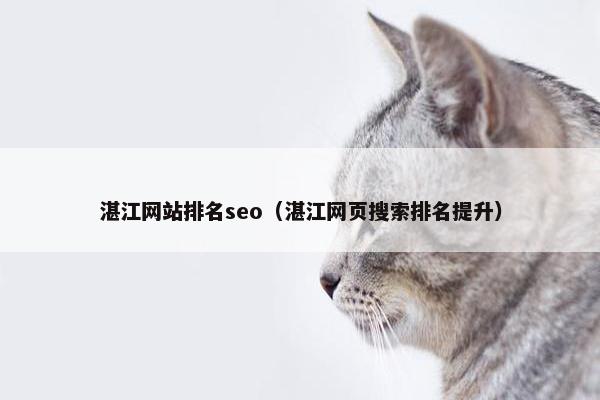 湛江网站排名seo（湛江网页搜索排名提升）