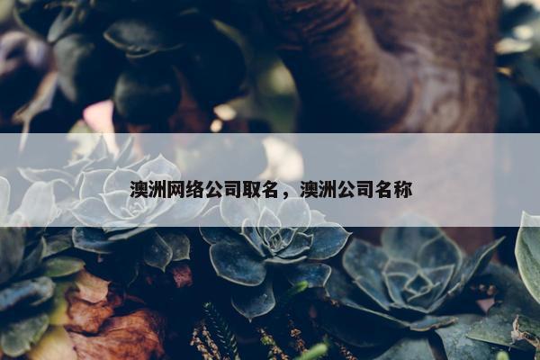 澳洲网络公司取名，澳洲公司名称