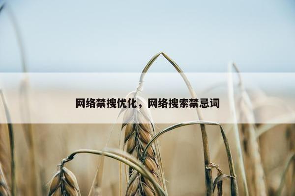 网络禁搜优化，网络搜索禁忌词