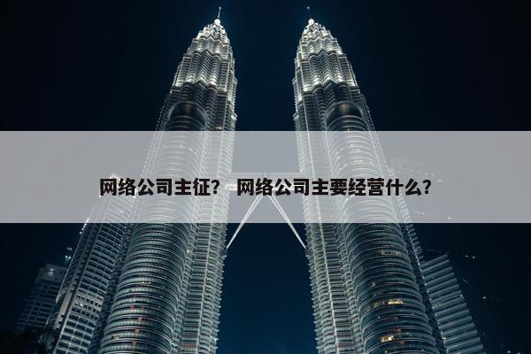 网络公司主征？ 网络公司主要经营什么？
