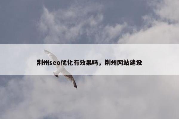 荆州seo优化有效果吗，荆州网站建设