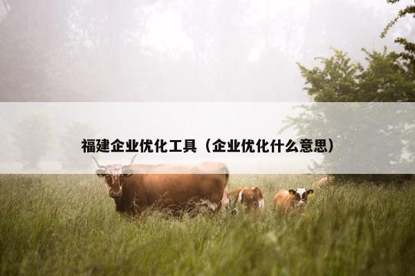 福建企业优化工具（企业优化什么意思）