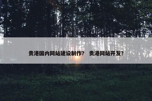 贵港国内网站建设制作？ 贵港网站开发？