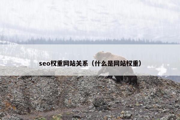 seo权重网站关系（什么是网站权重）