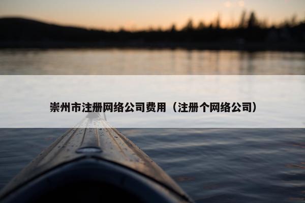 崇州市注册网络公司费用（注册个网络公司）