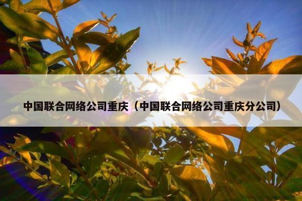 中国联合网络公司重庆(中国联合网络公司重庆分公司) 中国联合网络公司重庆(中国联合网络公司重庆分公司)