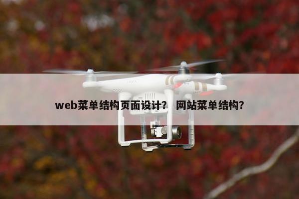 web菜单结构页面设计？ 网站菜单结构？