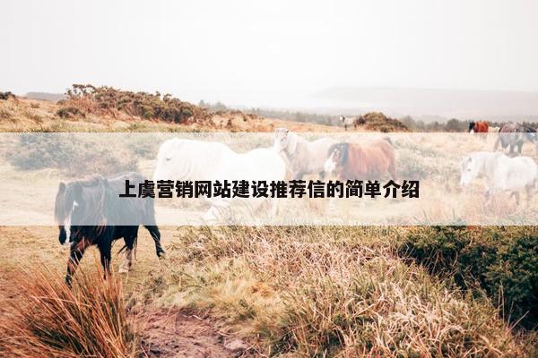 上虞营销网站建设推荐信的简单介绍