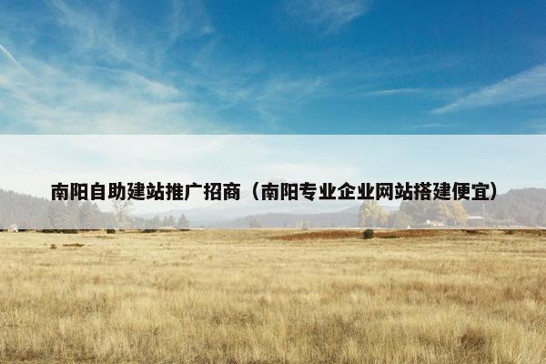 南阳自助建站推广招商（南阳专业企业网站搭建便宜）