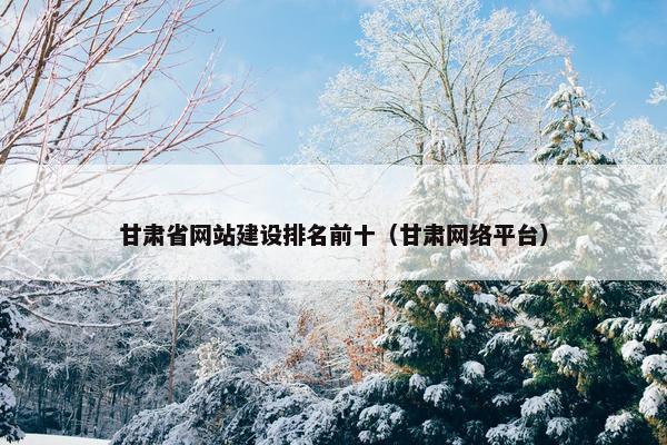 甘肃省网站建设排名前十（甘肃网络平台）