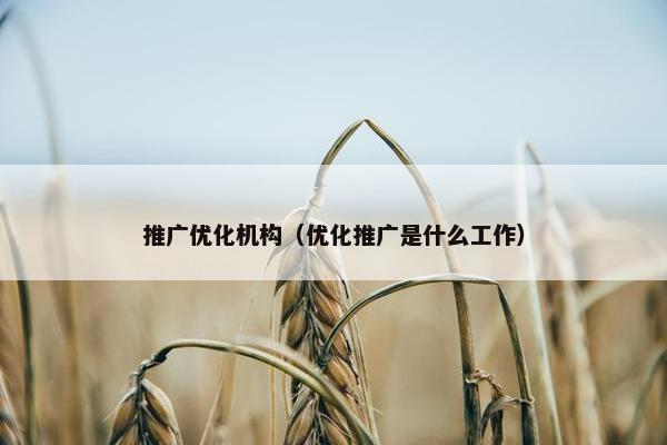 推广优化机构（优化推广是什么工作）