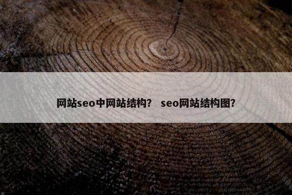 网站seo中网站结构？ seo网站结构图？