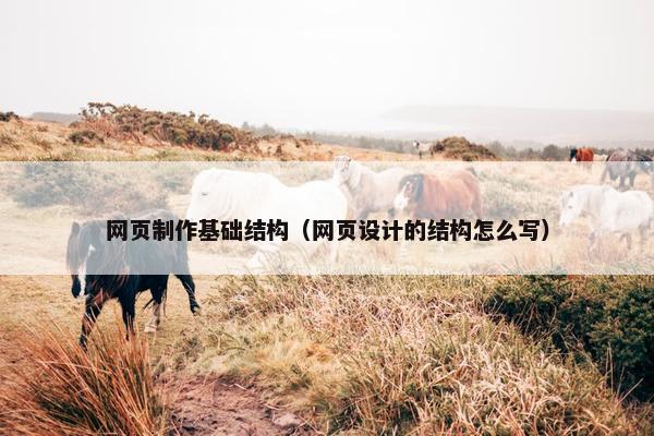 网页制作基础结构（网页设计的结构怎么写）
