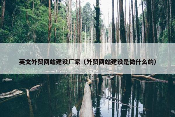 英文外贸网站建设厂家（外贸网站建设是做什么的）