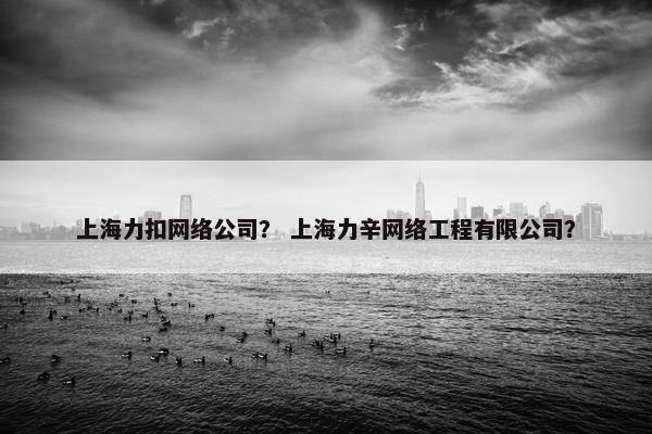 上海力扣网络公司？ 上海力辛网络工程有限公司？