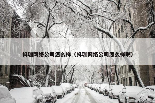 抖珈网络公司怎么样（抖珈网络公司怎么样啊）