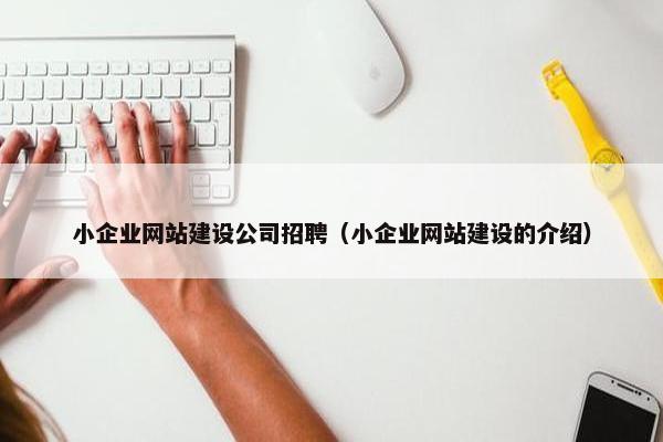 小企业网站建设公司招聘（小企业网站建设的介绍）