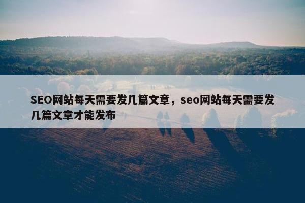 SEO网站每天需要发几篇文章，seo网站每天需要发几篇文章才能发布