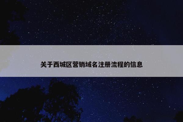 关于西城区营销域名注册流程的信息