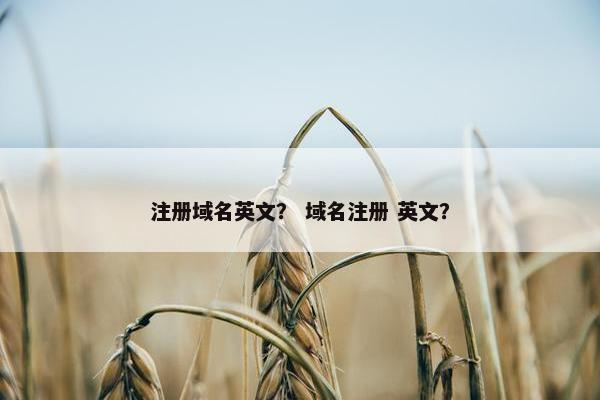 注册域名英文？ 域名注册 英文？