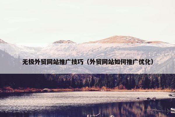 无极外贸网站推广技巧（外贸网站如何推广优化）