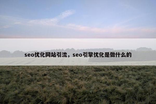 seo优化网站引流，seo引擎优化是做什么的