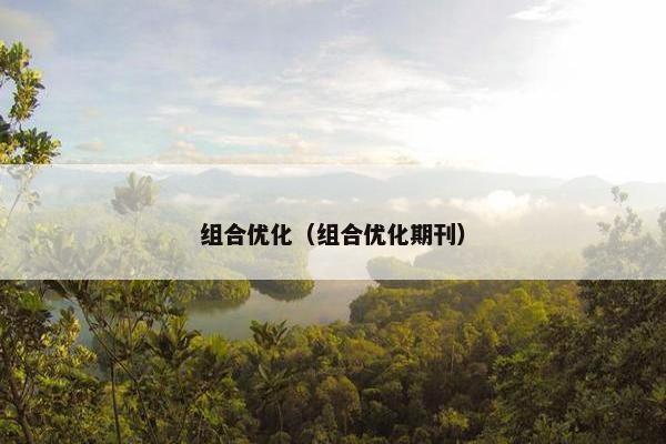 组合优化（组合优化期刊）
