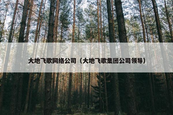 大地飞歌网络公司（大地飞歌集团公司领导）