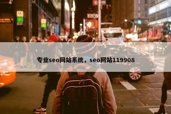 专业seo网站系统，seo网站119908