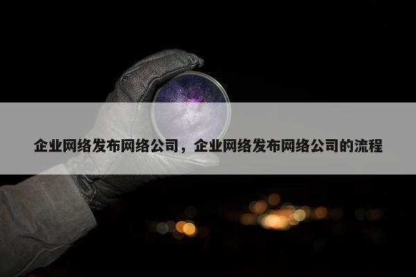 企业网络发布网络公司，企业网络发布网络公司的流程