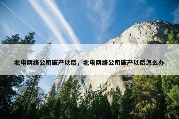 北电网络公司破产以后，北电网络公司破产以后怎么办