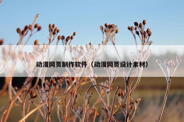 动漫网页制作软件（动漫网页设计素材）