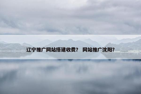 辽宁推广网站搭建收费？ 网站推广沈阳？