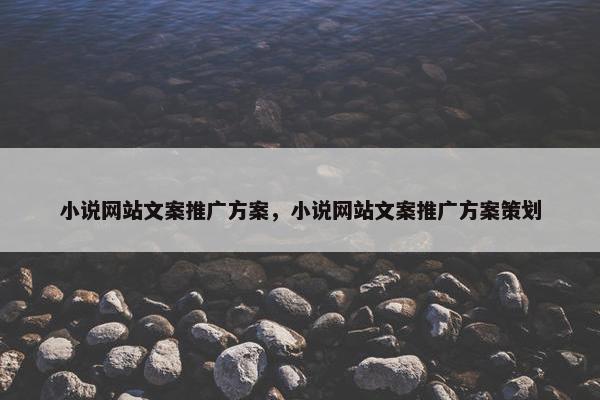 小说网站文案推广方案，小说网站文案推广方案策划