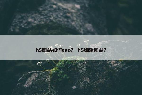 h5网站如何seo？ h5编辑网站？