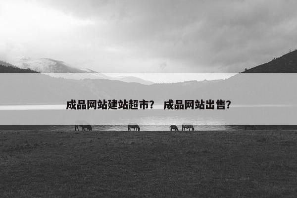 成品网站建站超市？ 成品网站出售？