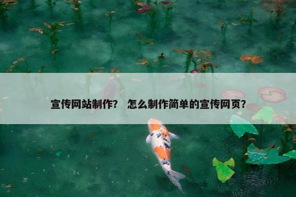 宣传网站制作？ 怎么制作简单的宣传网页？