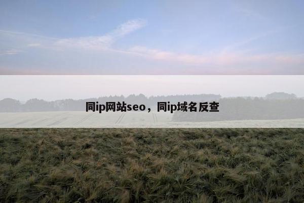 同ip网站seo，同ip域名反查