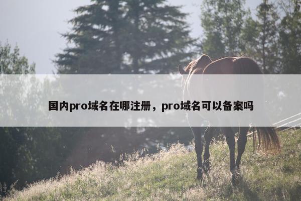 国内pro域名在哪注册，pro域名可以备案吗