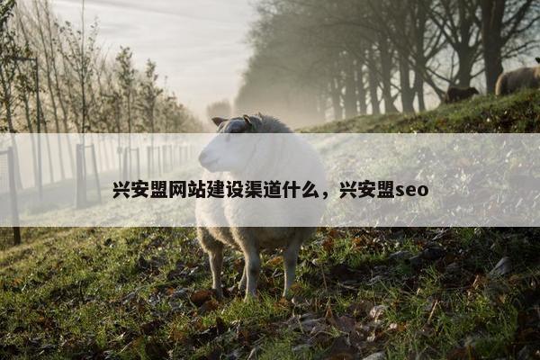 兴安盟网站建设渠道什么，兴安盟seo