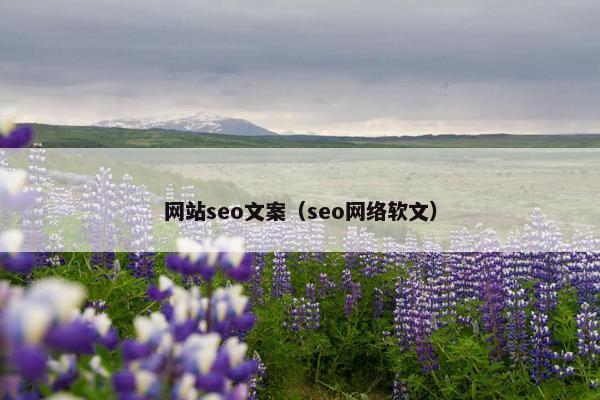 网站seo文案（seo网络软文）