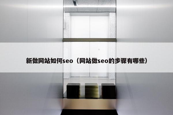 新做网站如何seo（网站做seo的步骤有哪些）