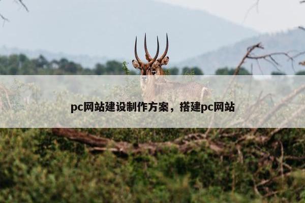 pc网站建设制作方案,搭建pc网站 pc网站建设制作方案,搭建pc网站