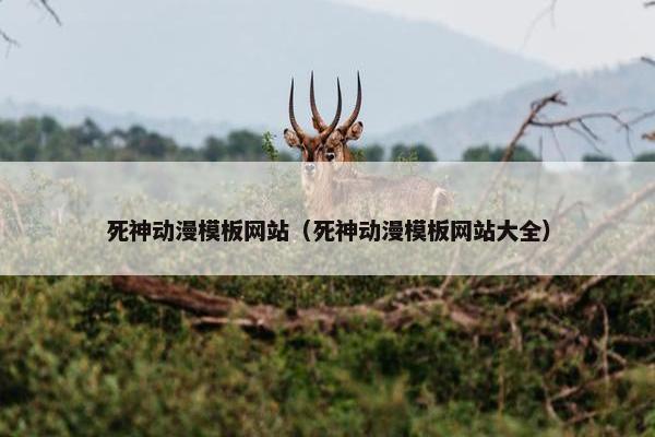 死神动漫模板网站（死神动漫模板网站大全）