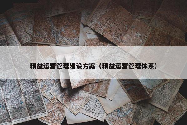 精益运营管理建设方案（精益运营管理体系）