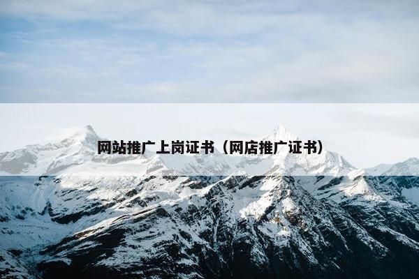 网站推广上岗证书（网店推广证书）
