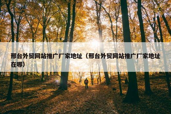 邢台外贸网站推广厂家地址（邢台外贸网站推广厂家地址在哪）