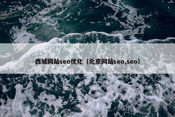 西城网站seo优化（北京网站seo,seo）