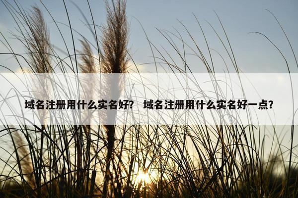 域名注册用什么实名好？ 域名注册用什么实名好一点？